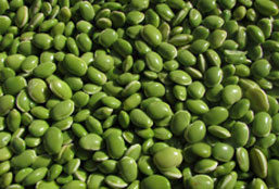 手机号呼叫轰炸app